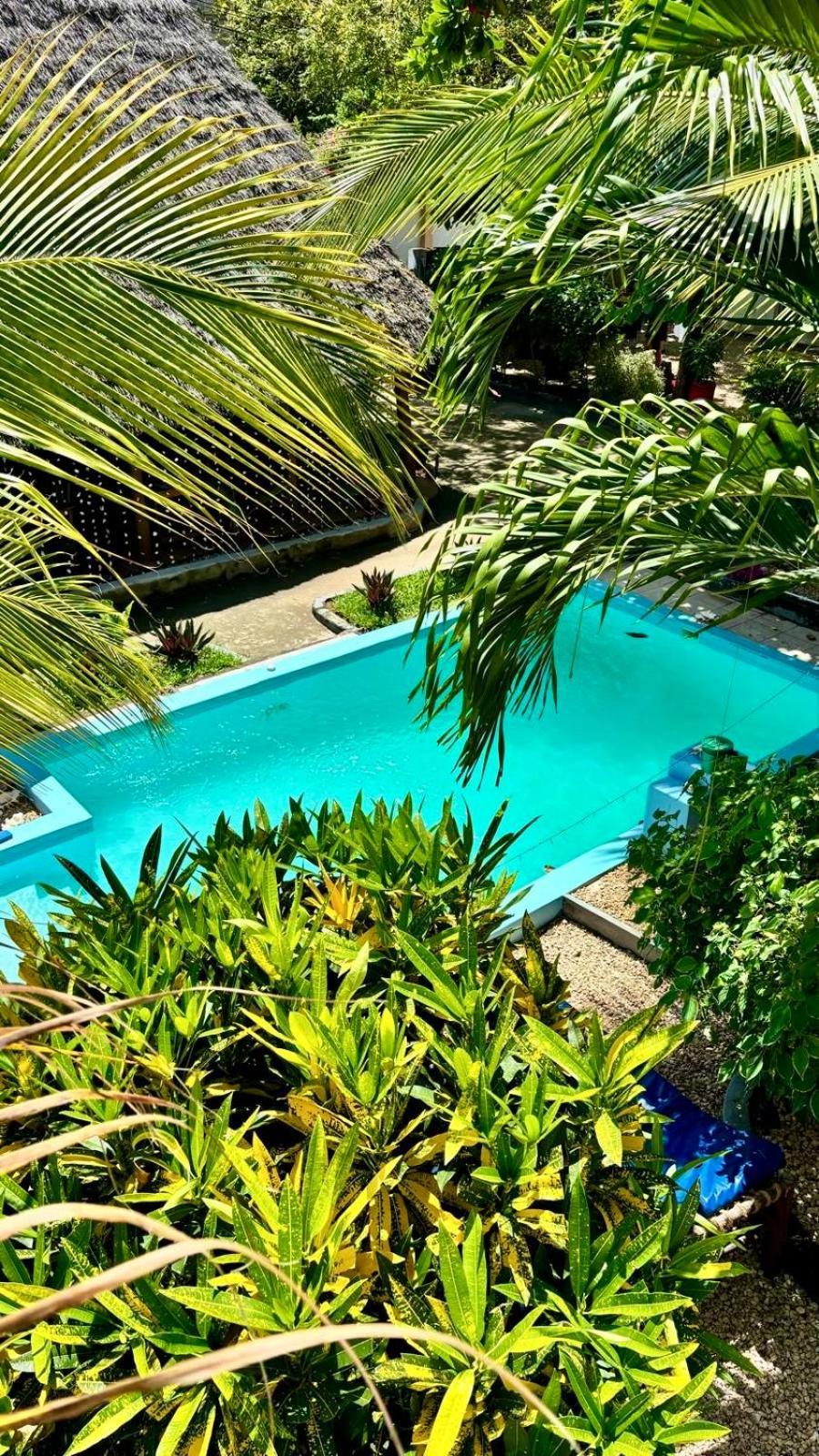 Kilimanjaro Bed & Breakfast Nungwi Exterior photo